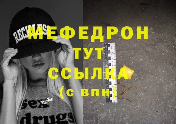 шишки Няндома