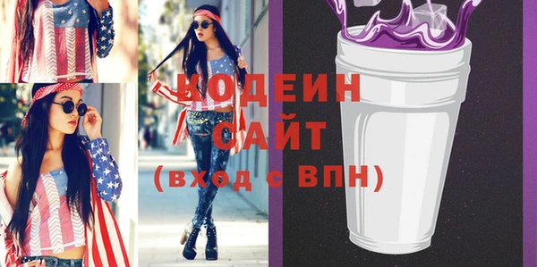 шишки Няндома