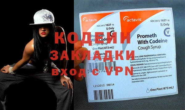 шишки Няндома