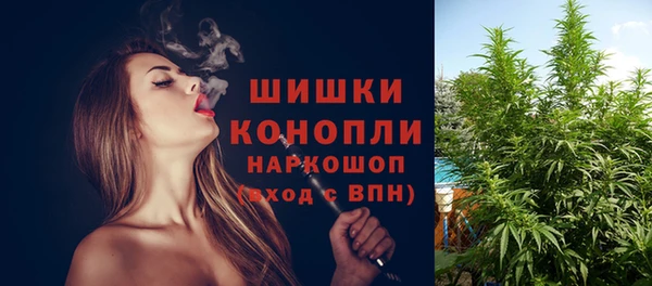 крисы Абаза