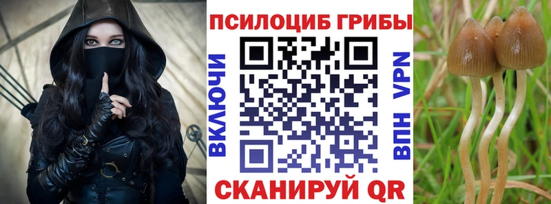Галлюциногенные грибы MAGIC MUSHROOMS  Ивантеевка 